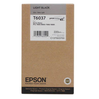 Epson T6037-C13T603700 Açık Siyah Orjinal Kartuş